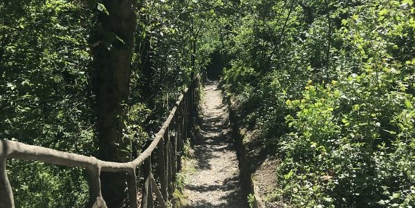 CASTELLO DI GROPPARELLO: GOLE DEL VEZZENO (PC)